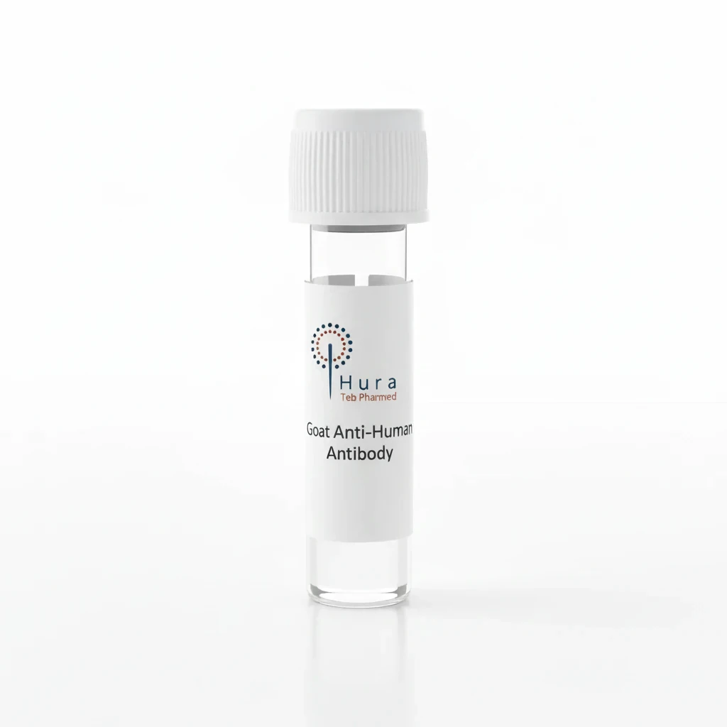 Goat Anti-Human Antibody