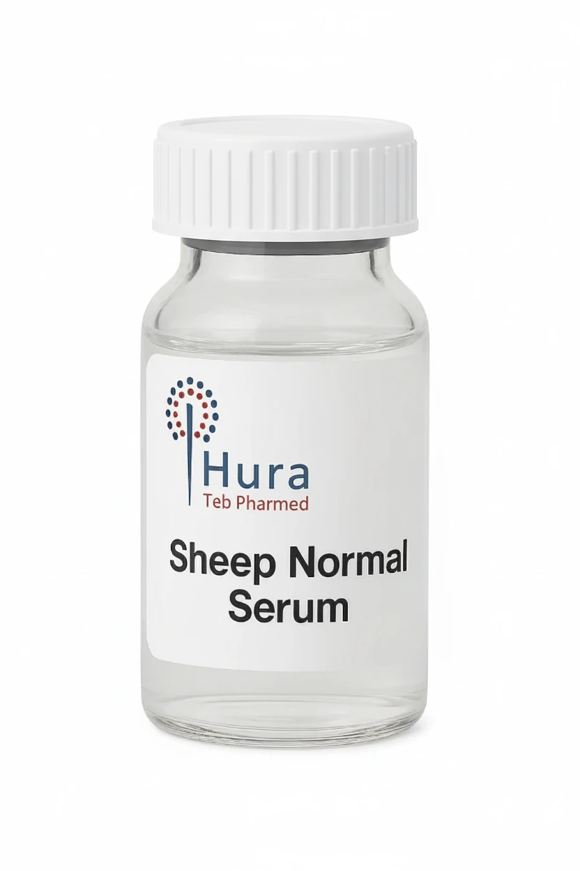 Sheep normal serum
