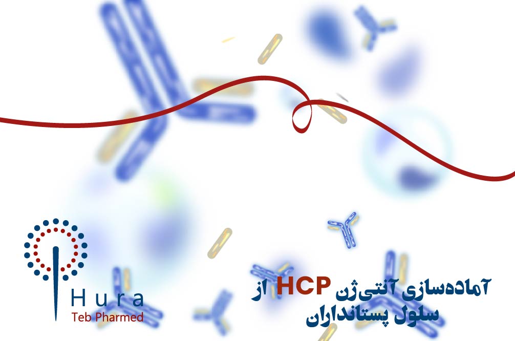 آماده‌سازی آنتی‌ژن HCP از سلول پستانداران